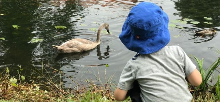 一个孩子俯身去喂池塘里的鸭子